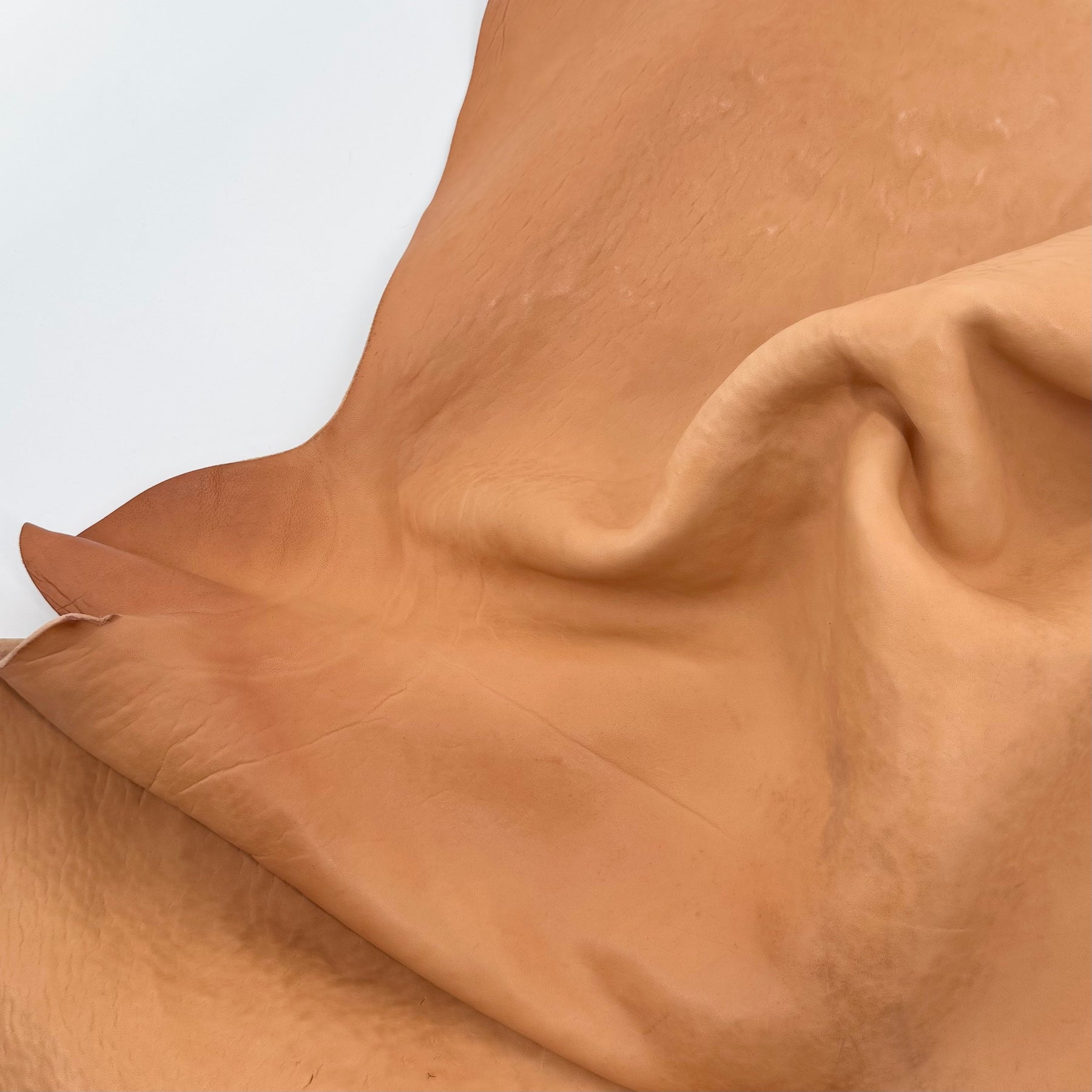 Crude Culatta Horse Double Butt Hide