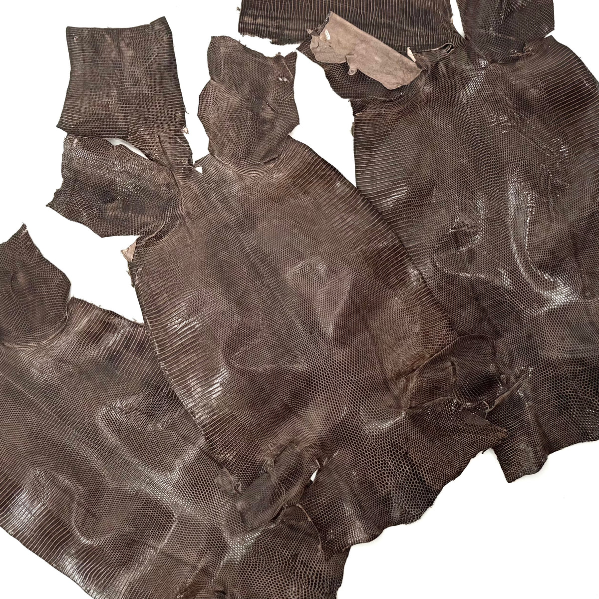 Pack of 3 Glazed Brown Lizard Skin Grade 2 | SALE