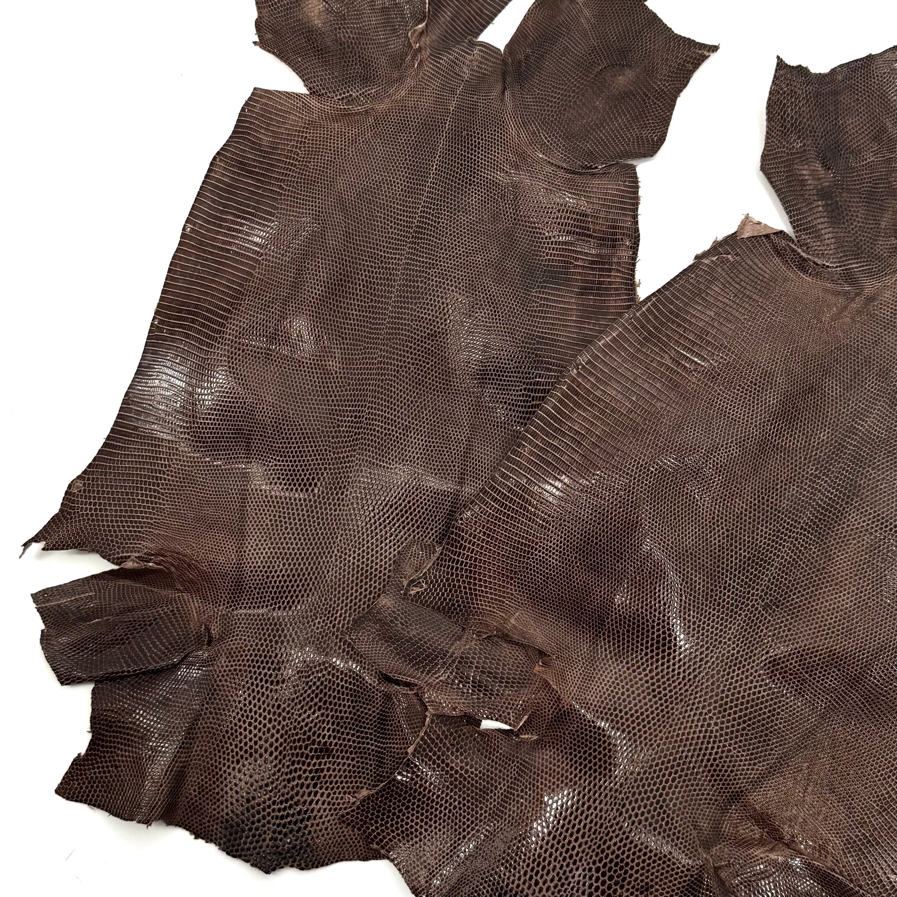 Pack of 3 Glazed Brown Lizard Skin Grade 2 | SALE
