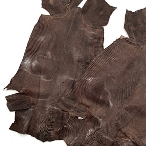Pack of 3 Glazed Brown Lizard Skin Grade 2 | SALE