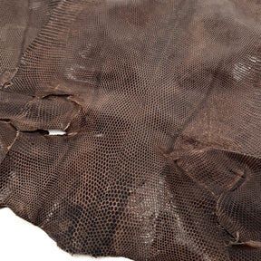 Pack of 3 Glazed Brown Lizard Skin Grade 2 | SALE