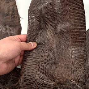 Pack of 3 Glazed Brown Lizard Skin Grade 2 | SALE