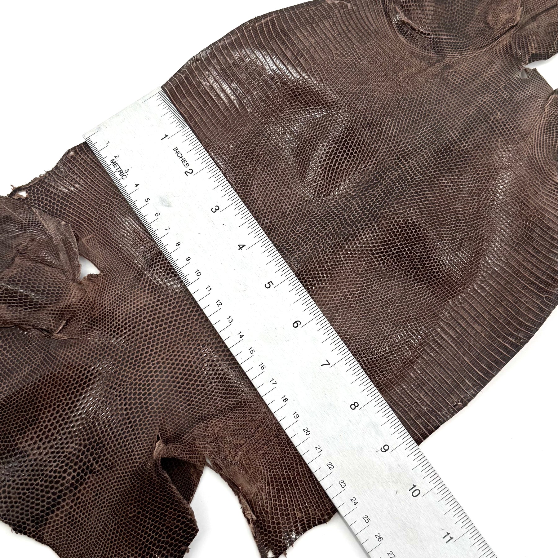 Pack of 3 Glazed Brown Lizard Skin Grade 2 | SALE