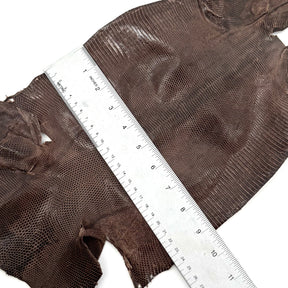 Pack of 3 Glazed Brown Lizard Skin Grade 2 | SALE