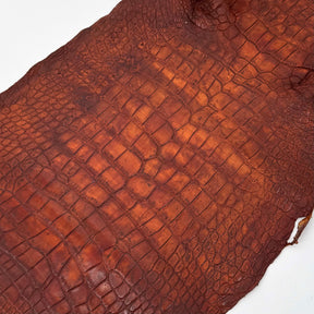 Wild American Alligator Hand Painted (Burnt Orange) | 38 cm