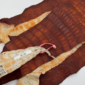 Wild American Alligator Hand Painted (Burnt Orange) | 38 cm