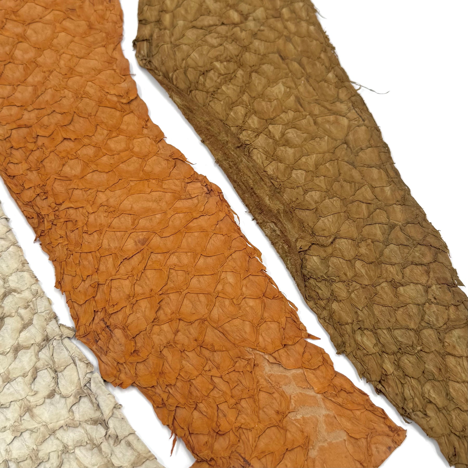 Bundle of 3 Multicolor Pirarucu Tails 5X | SALE