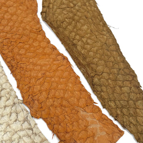 Bundle of 3 Multicolor Pirarucu Tails 5X | SALE