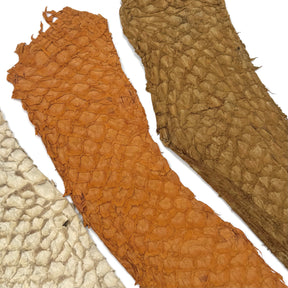 Bundle of 3 Multicolor Pirarucu Tails 5X | SALE