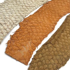 Bundle of 3 Multicolor Pirarucu Tails 5X | SALE