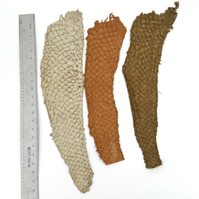 Bundle of 3 Multicolor Pirarucu Tails 5X | SALE