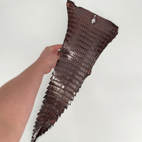 Individual Caiman Tales | SALE