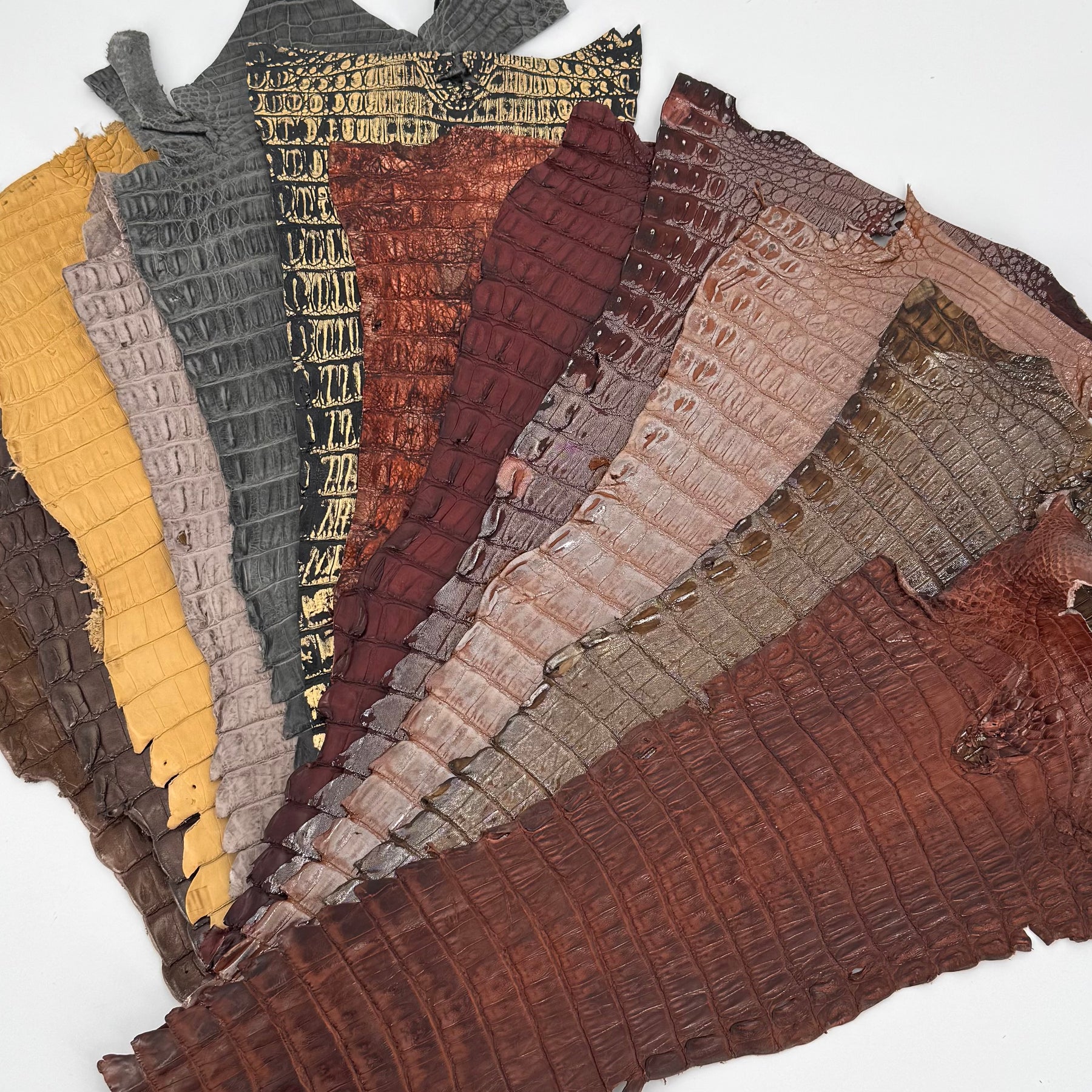 Individual Caiman Tales | SALE