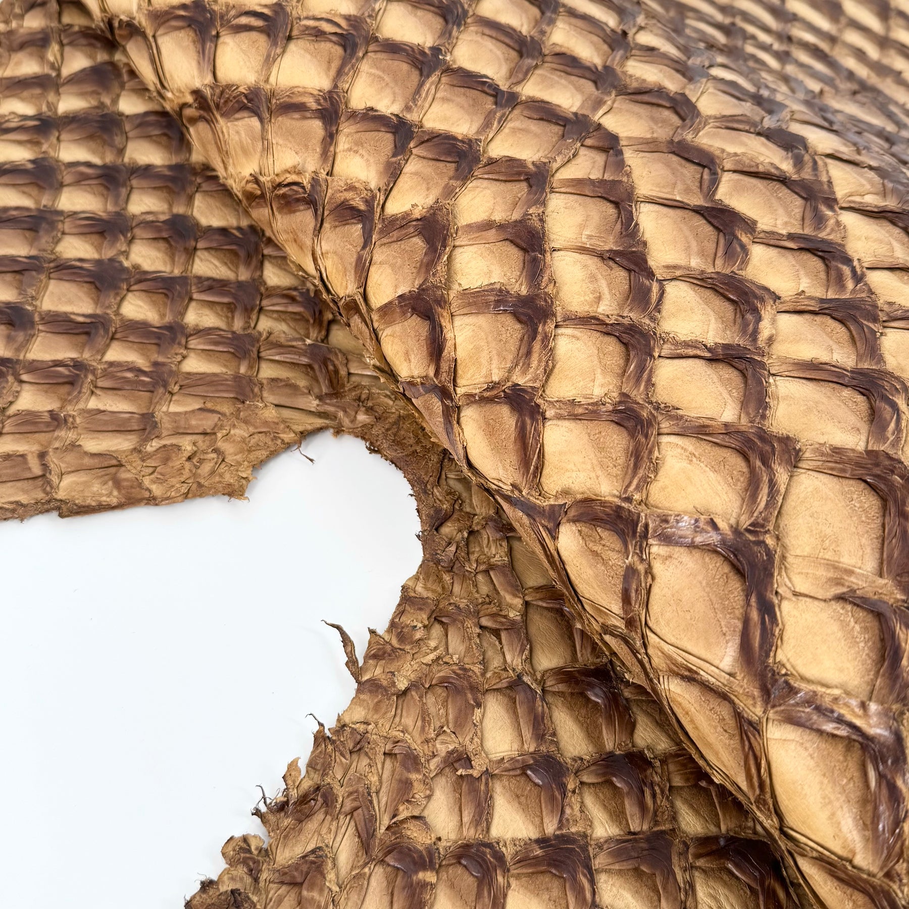 Caramel Inverted Pirarucu Fish Leather