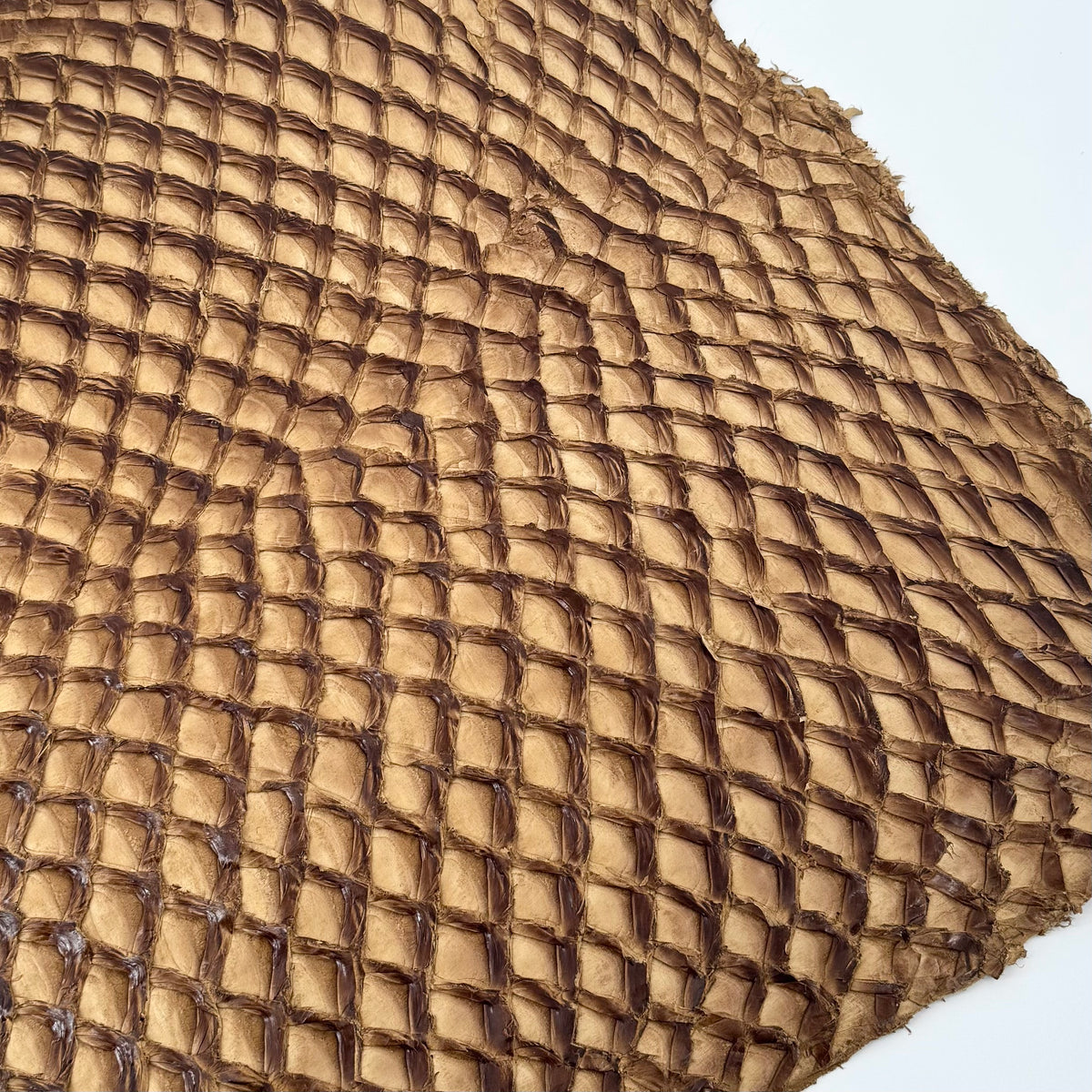 Caramel Inverted Pirarucu Fish Leather (Copy)
