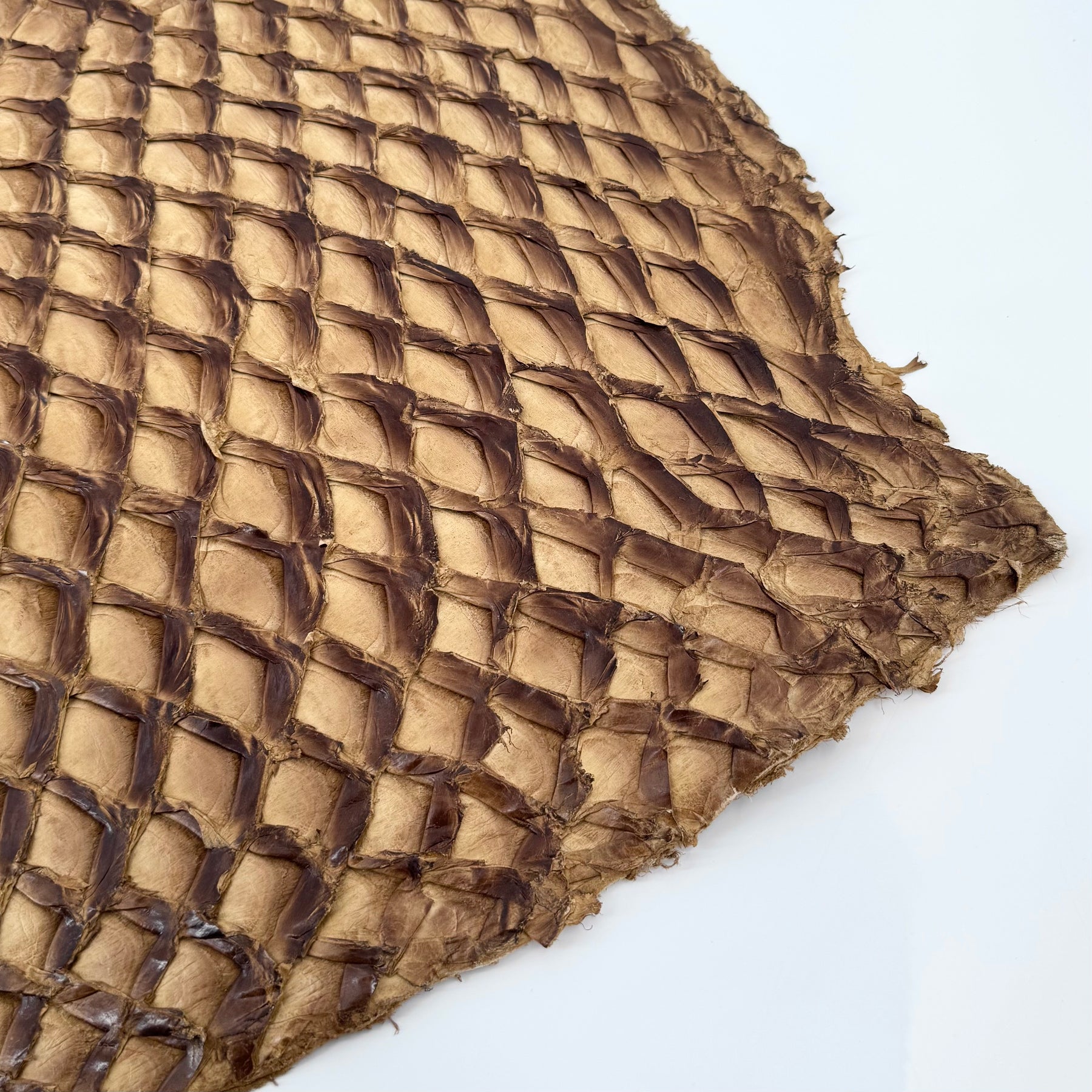 Caramel Inverted Pirarucu Fish Leather