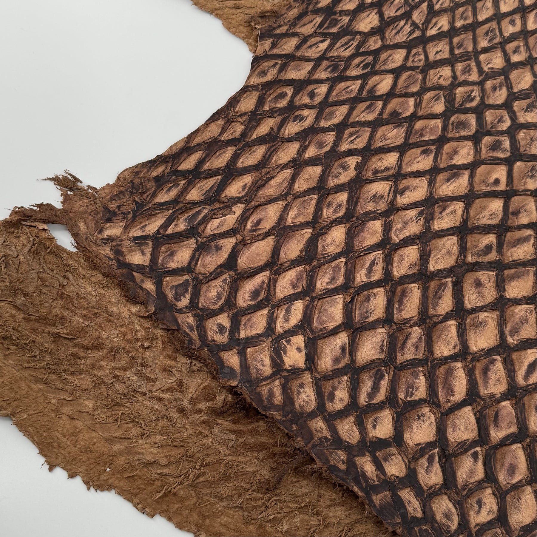 Charuto Brown Sugar Inverted Pirarucu Fish Leather