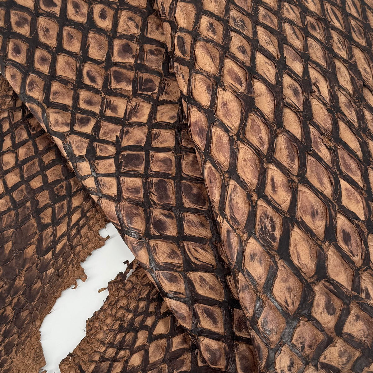 Charuto Brown Sugar Inverted Pirarucu Fish Leather