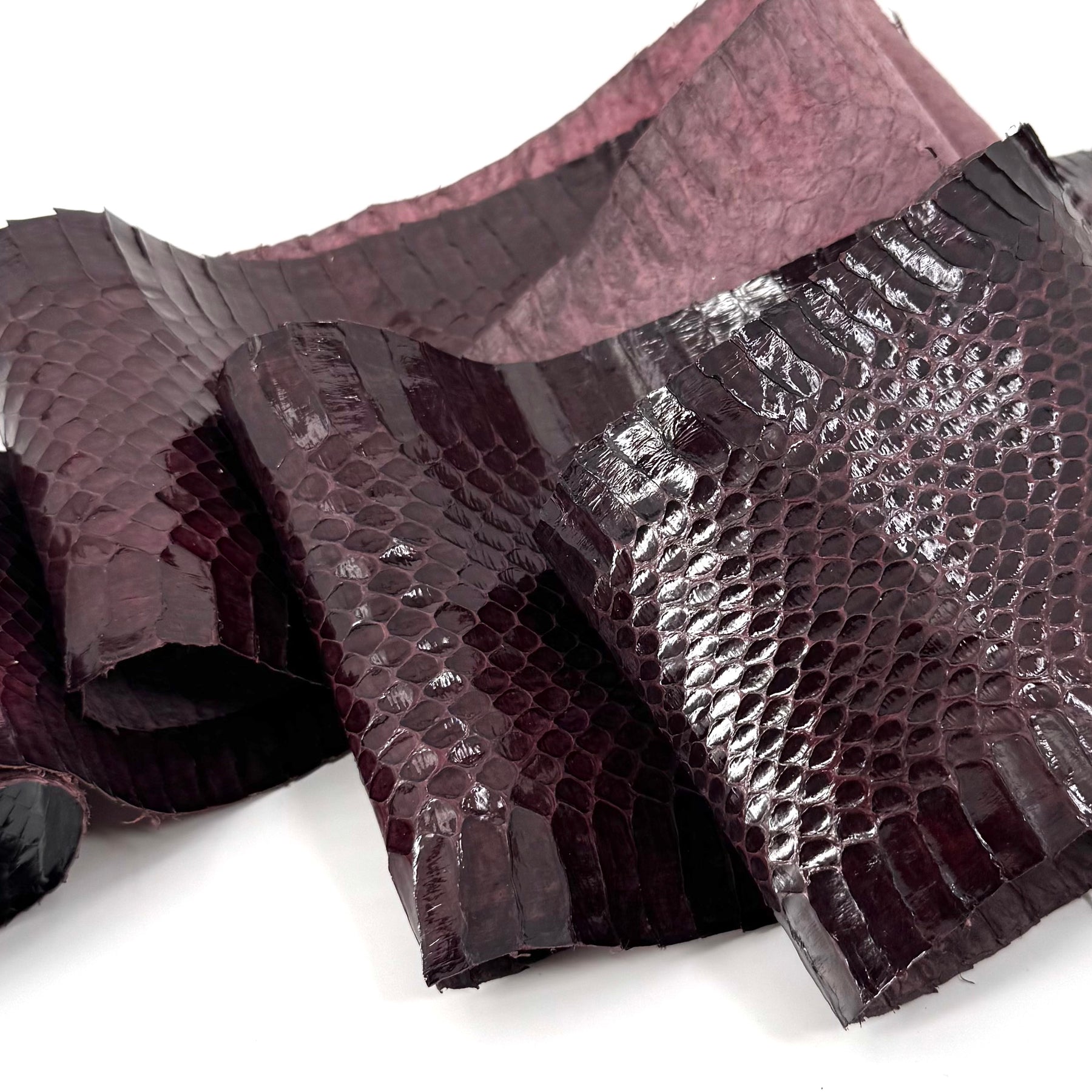 Dark Purple Whip Snake Skins | FINAL SALE