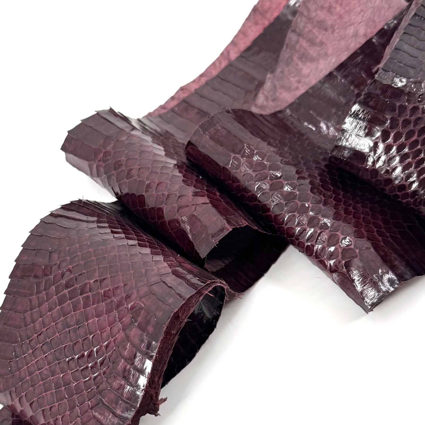 Dark Purple Whip Snake Skins | FINAL SALE