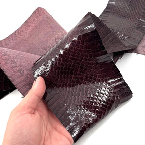 Dark Purple Whip Snake Skins | FINAL SALE