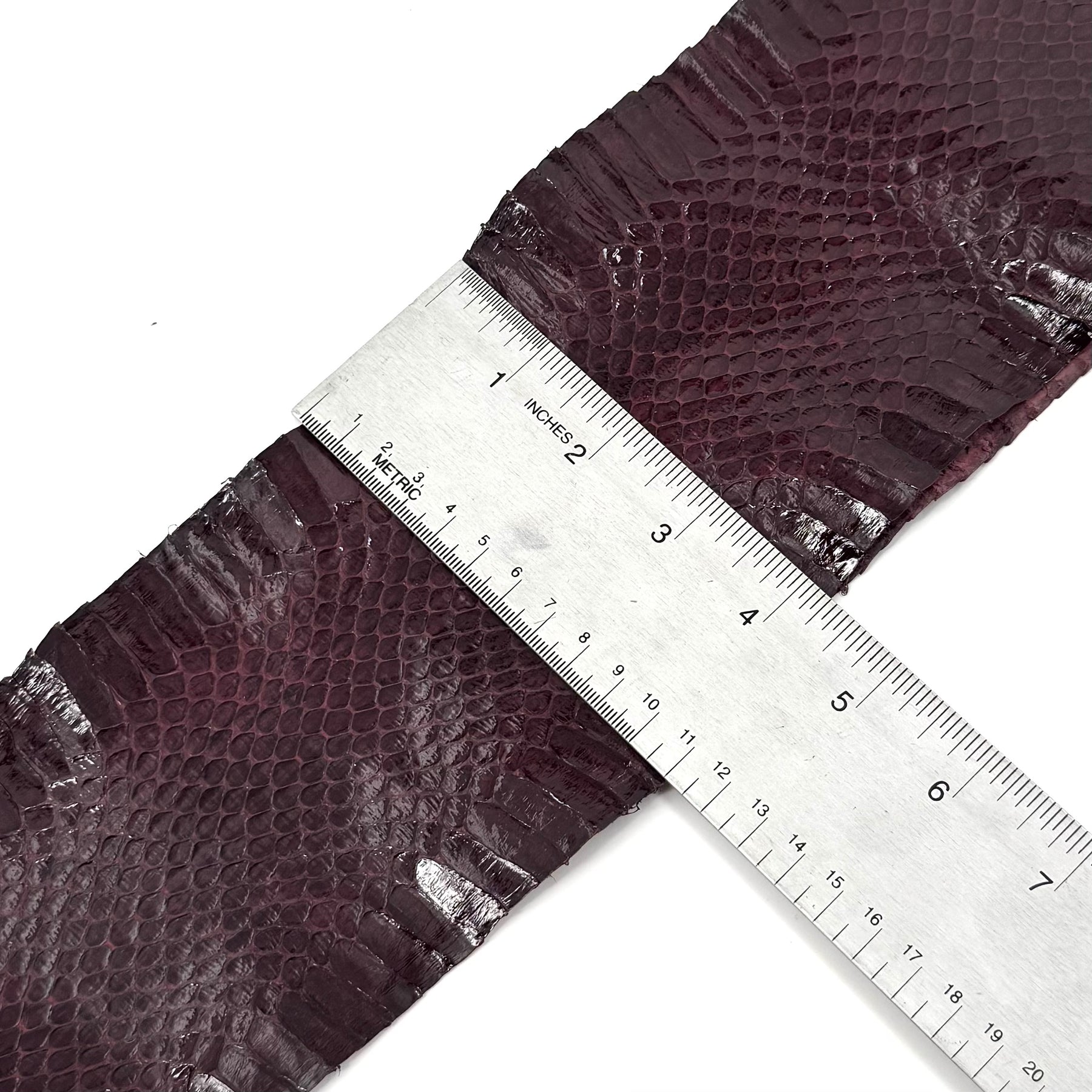 Dark Purple Whip Snake Skins | FINAL SALE
