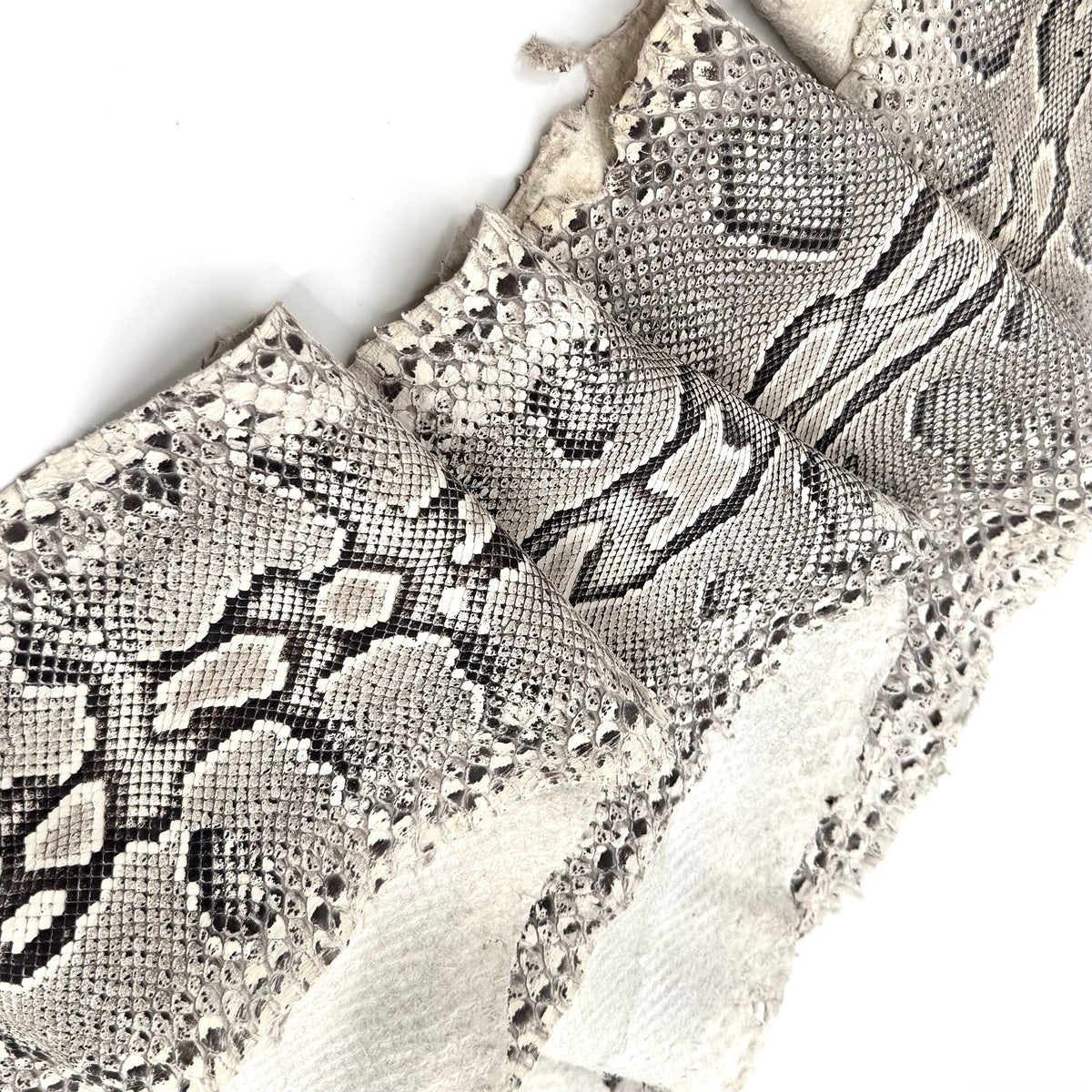 Natural Python Cut Z5 | Final Sale