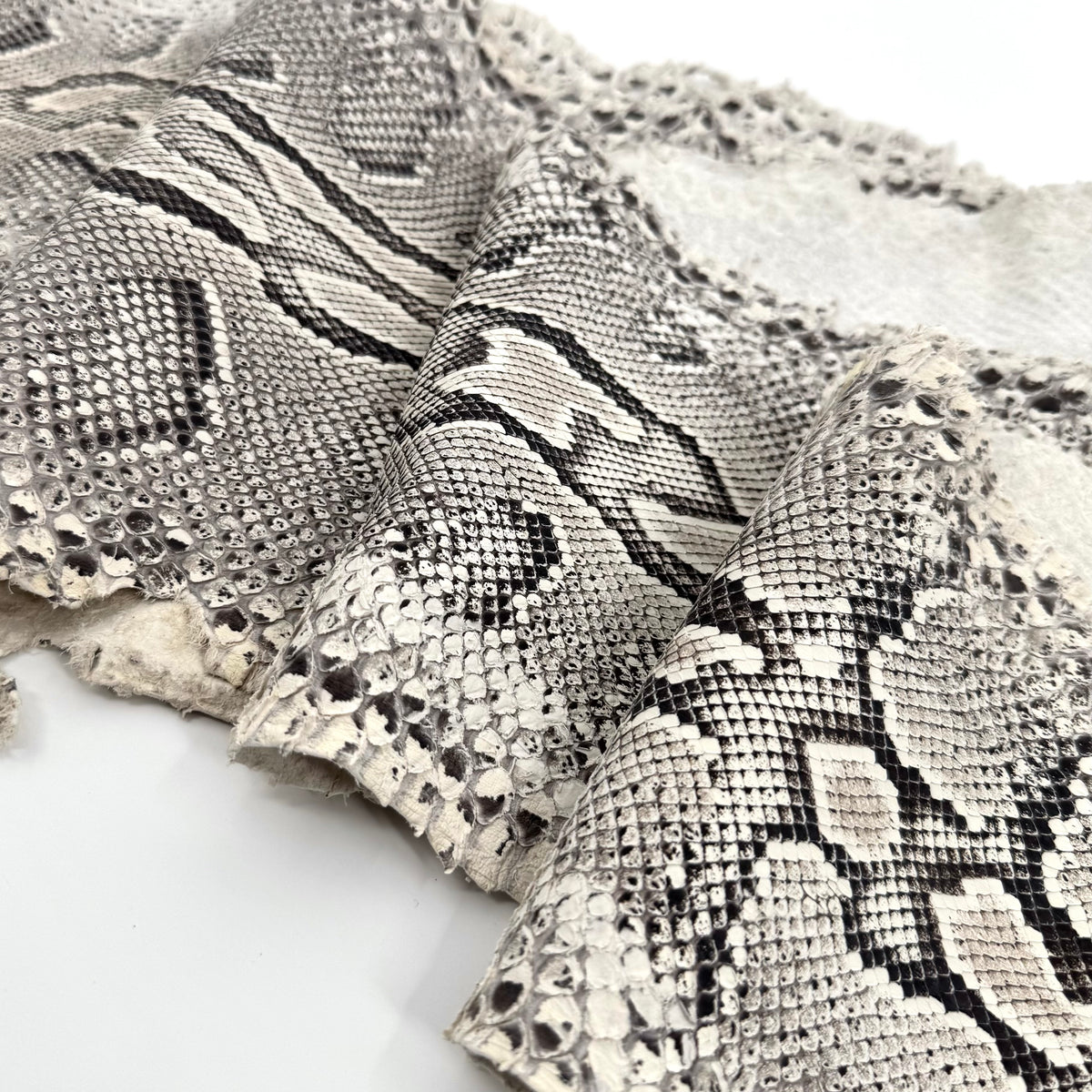 Natural Python Cut Z5 | Final Sale