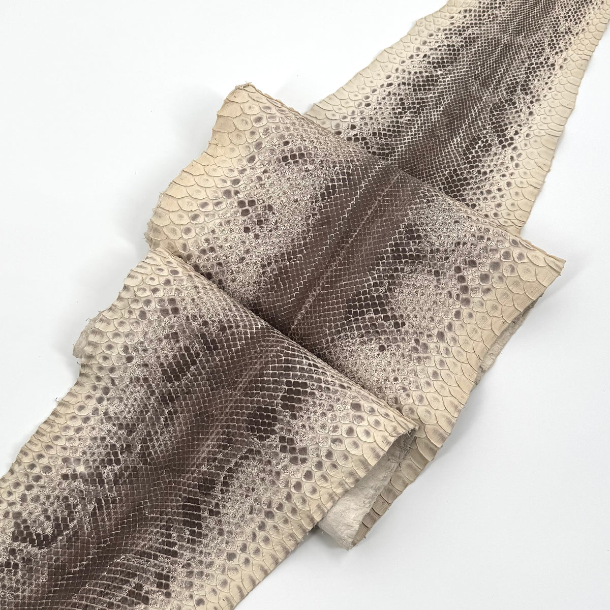 Natural Short Tail Python Cuts | Final Sale