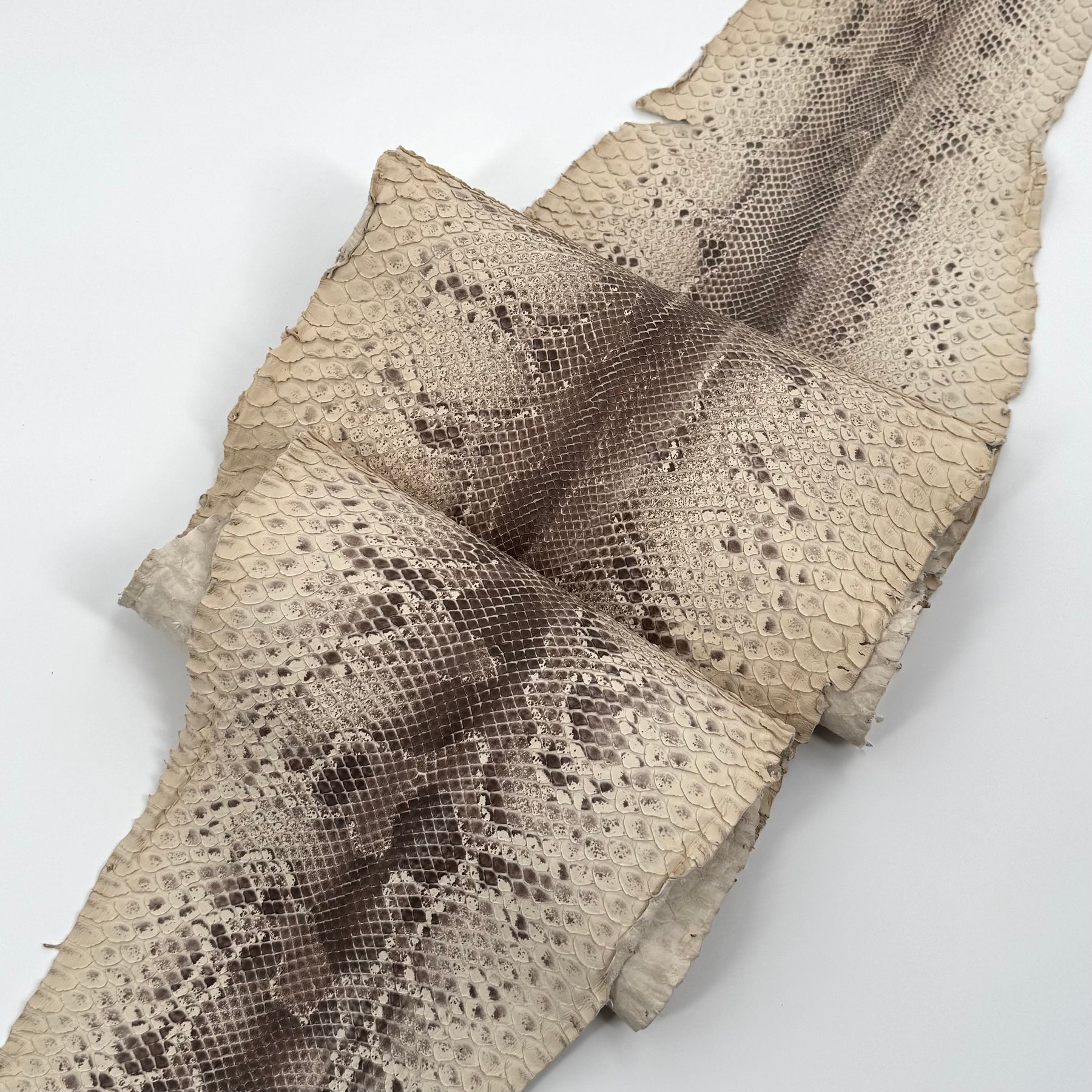 Natural Short Tail Python Cuts | Final Sale