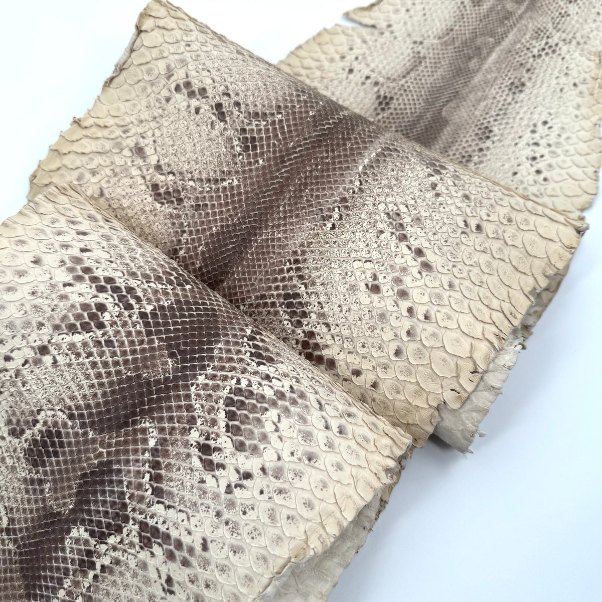 Natural Short Tail Python Cuts | Final Sale