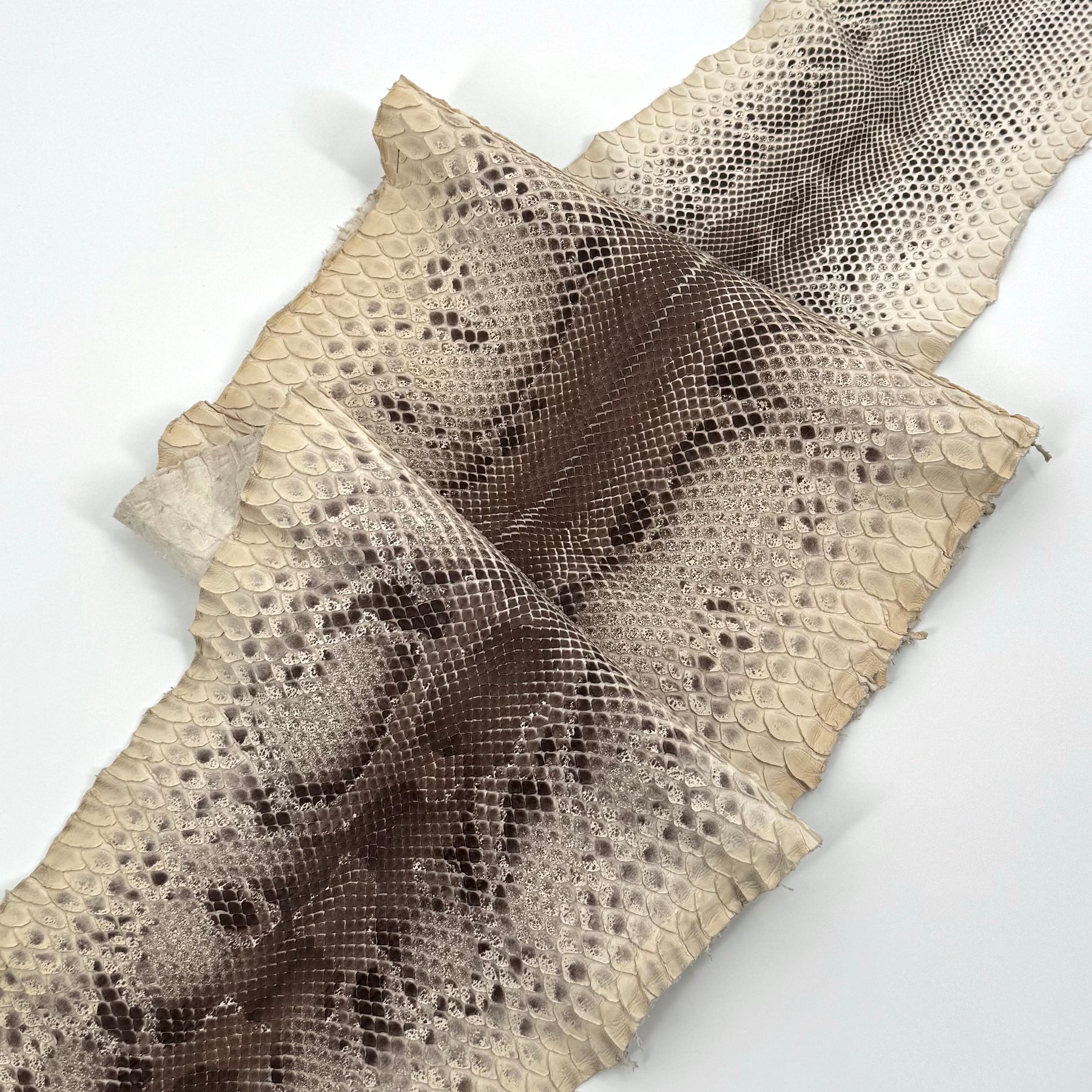 Natural Short Tail Python Cuts | Final Sale