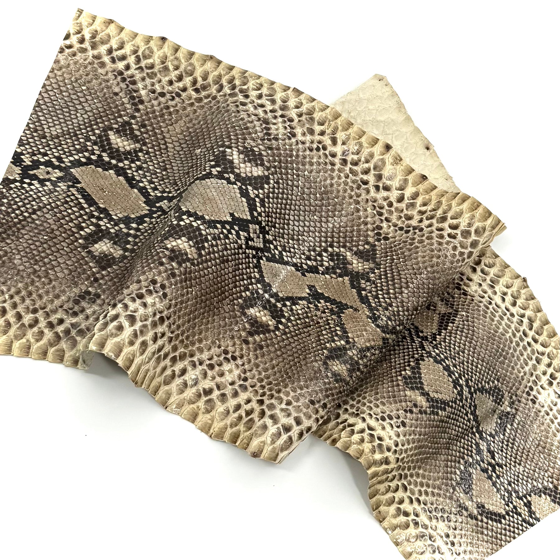 Short Python Cuts | Final Sale
