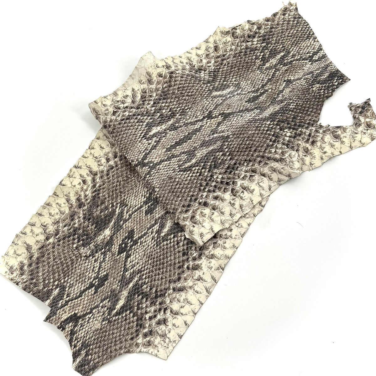 Short Python Cuts | Final Sale