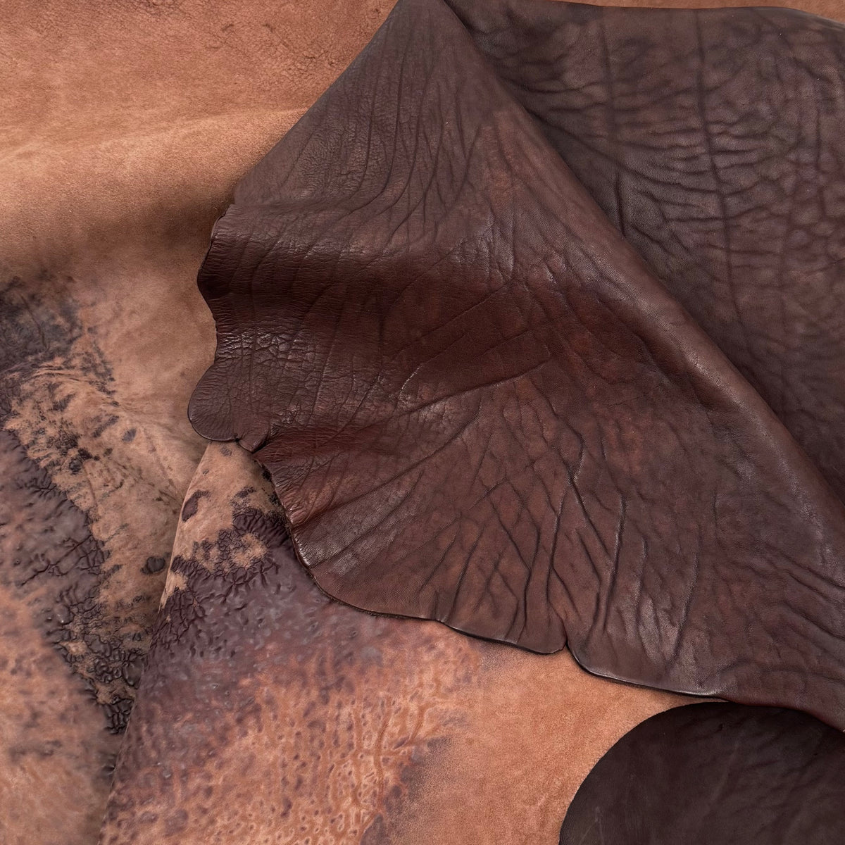 Crude Culatta Horse Double Butt Hide