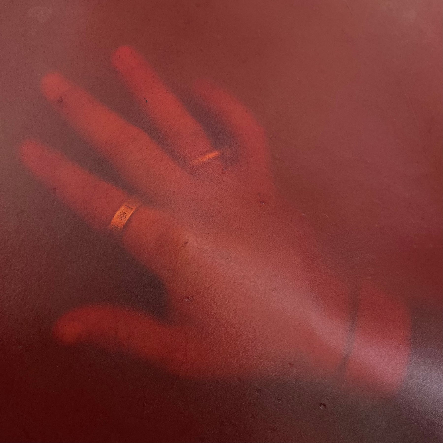 Transparent Translucent Leather Hide | Red