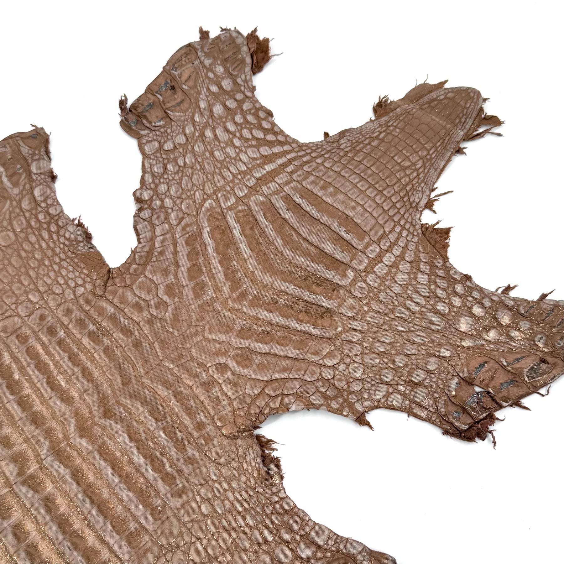 Sandy Dunes Metallic Caiman - Only 20 skins available | Sale