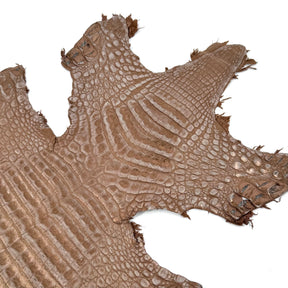 Sandy Dunes Metallic Caiman - Only 20 skins available | Sale