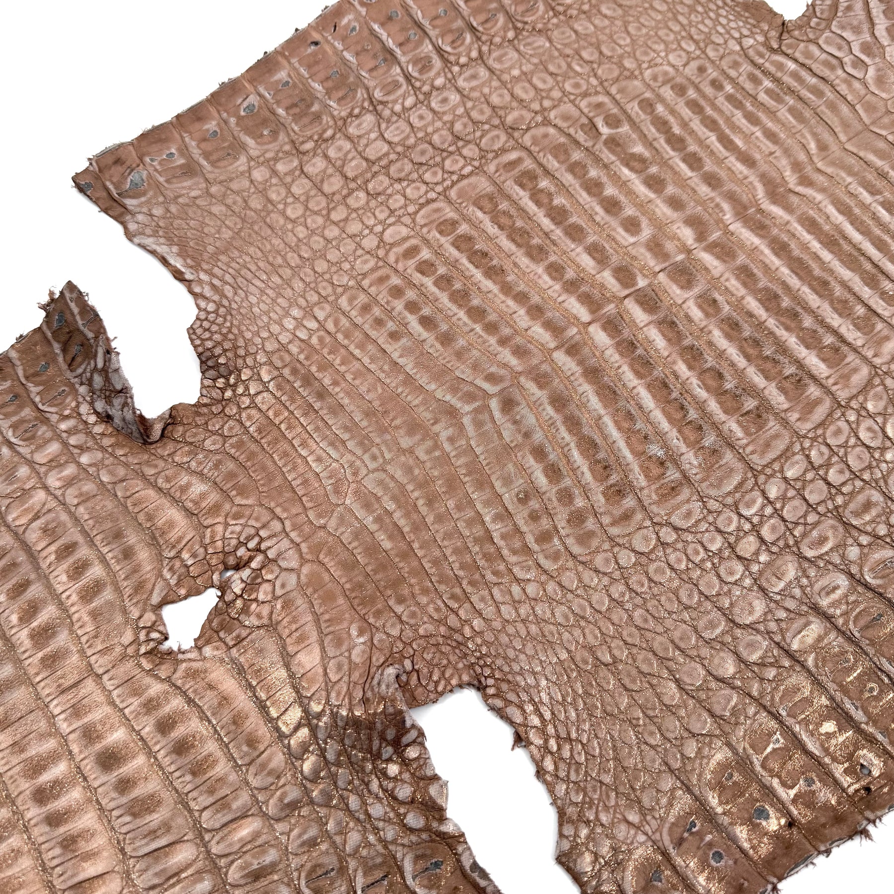Sandy Dunes Metallic Caiman - Only 20 skins available | Sale
