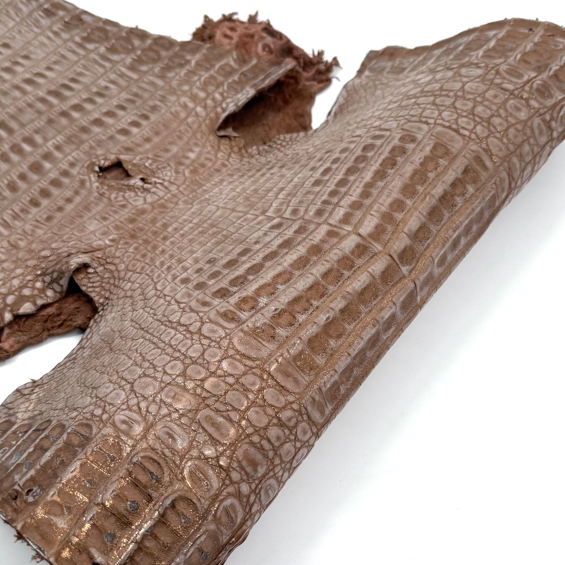 Sandy Dunes Metallic Caiman - Only 20 skins available | Sale
