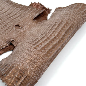 Sandy Dunes Metallic Caiman - Only 20 skins available | Sale