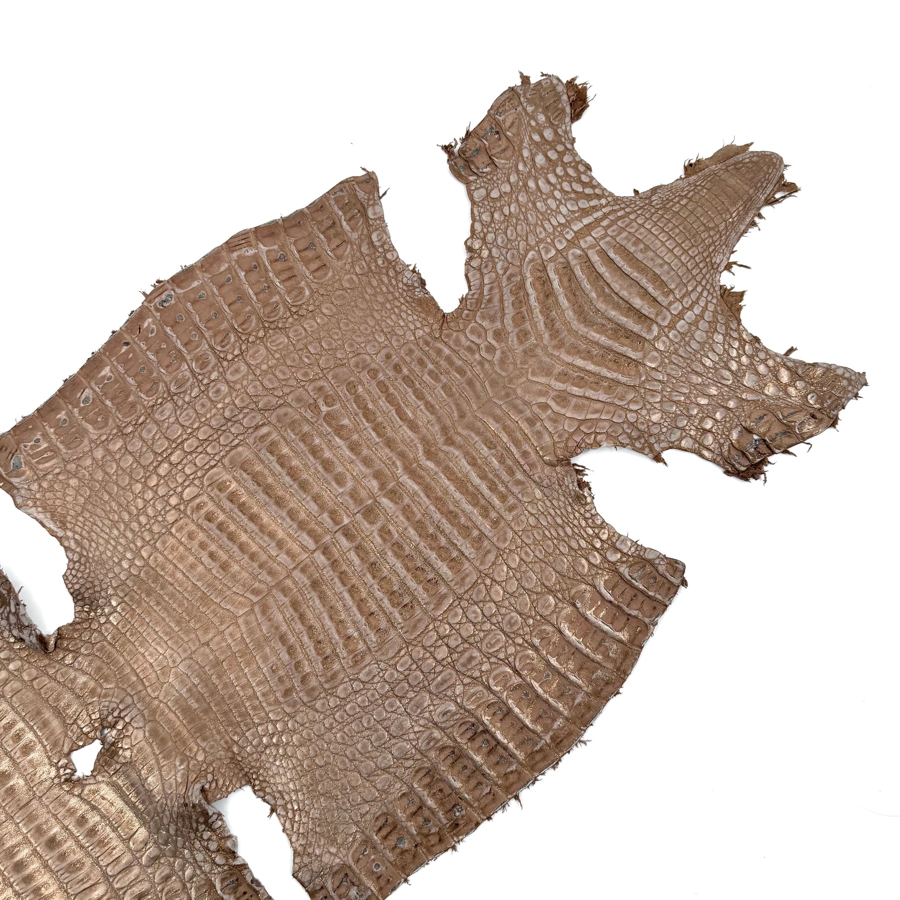 Sandy Dunes Metallic Caiman - Only 20 skins available | Sale
