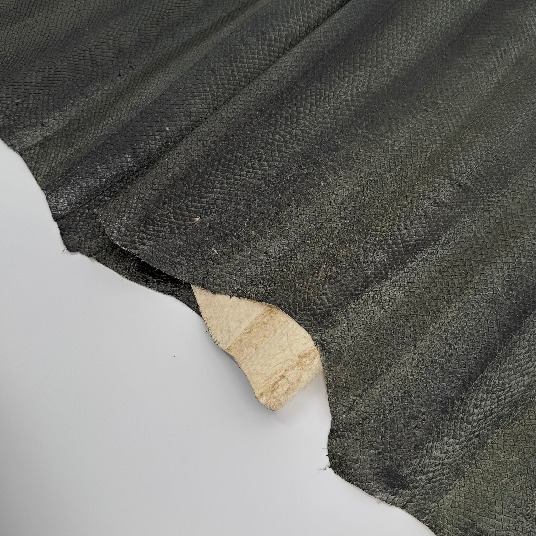 Forest Green Salmon Plate Leather