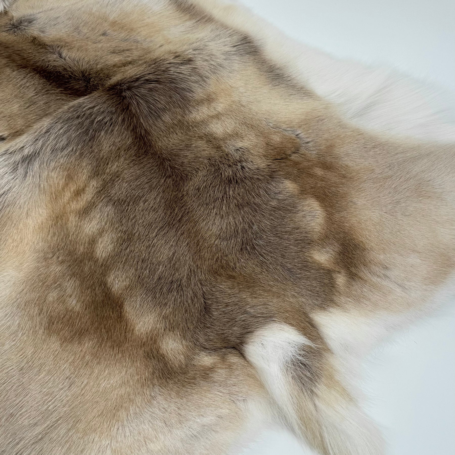 Hair-On Natural Reindeer Hide