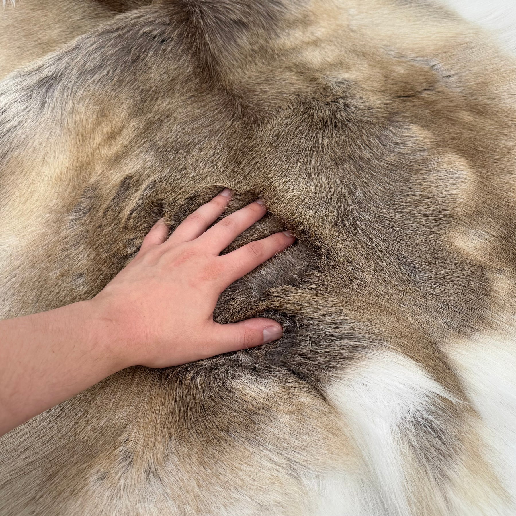 Hair-On Natural Reindeer Hide