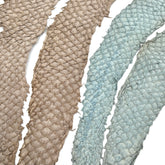 Bundle of 4 Multicolor Pirarucu Tails 10P | SALE
