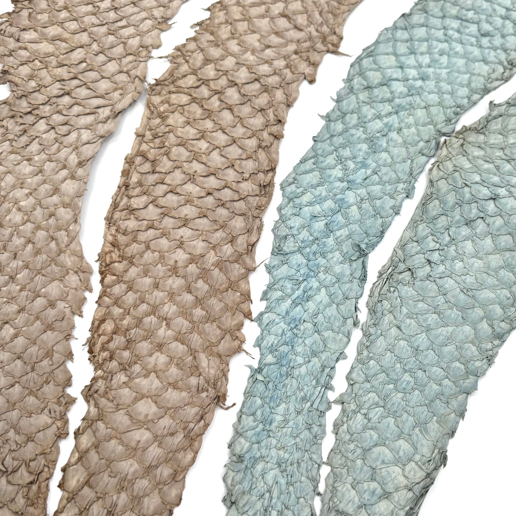Bundle of 4 Multicolor Pirarucu Tails 10P | SALE