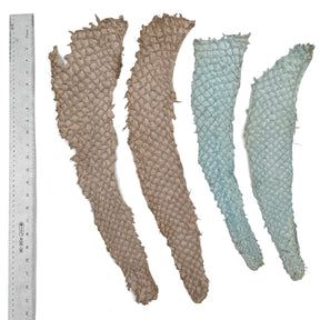 Bundle of 4 Multicolor Pirarucu Tails 10P | SALE