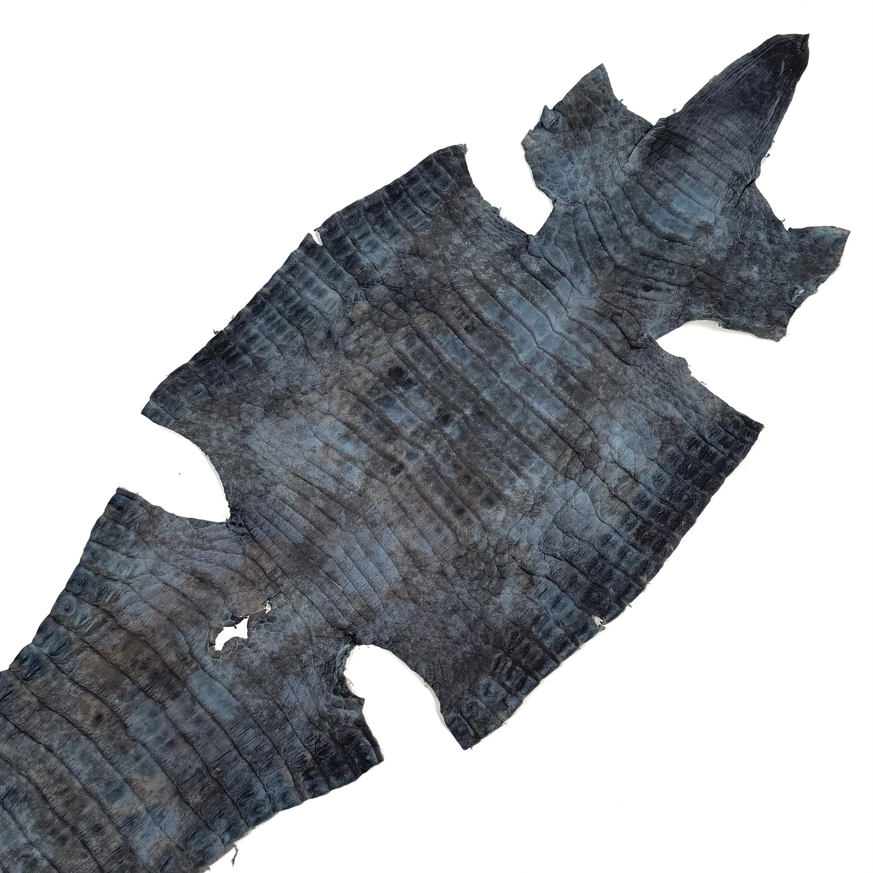 Navy Caiman Skins - Only 3 available | Sale