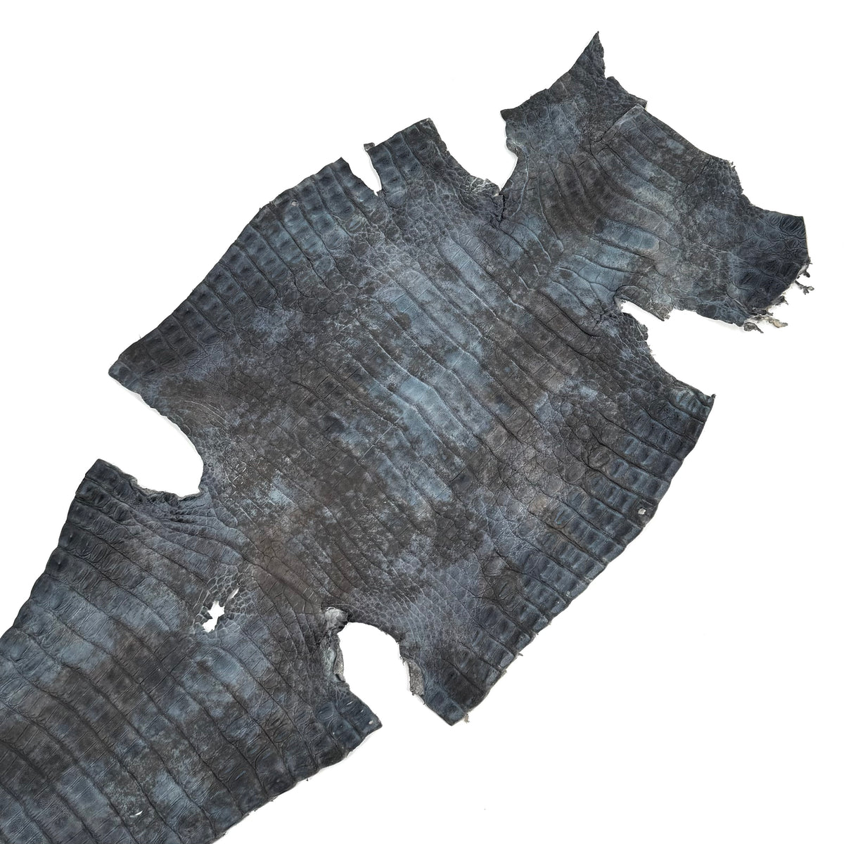 Navy Caiman Skins - Only 3 available | Sale